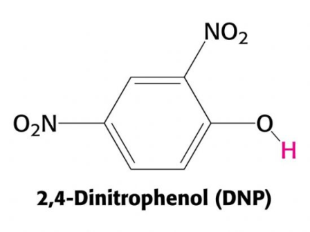 Dnp Dosage Chart