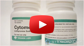 Primobolan perfect steroid