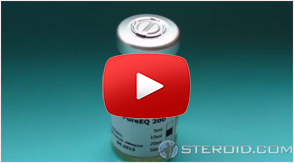 Sustanon 250 equipoise anavar cycle