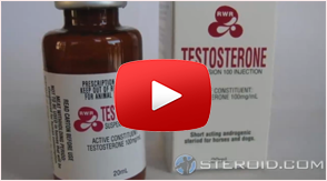 Testosterone propionate cycle results